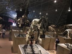 -世界恐龙谷景区