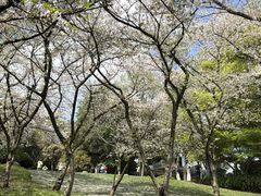 -中国茶叶博物馆(双峰馆区)