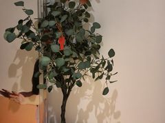 -麦子MaiMassage(打浦桥店)