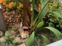 -白云山索道-售票处