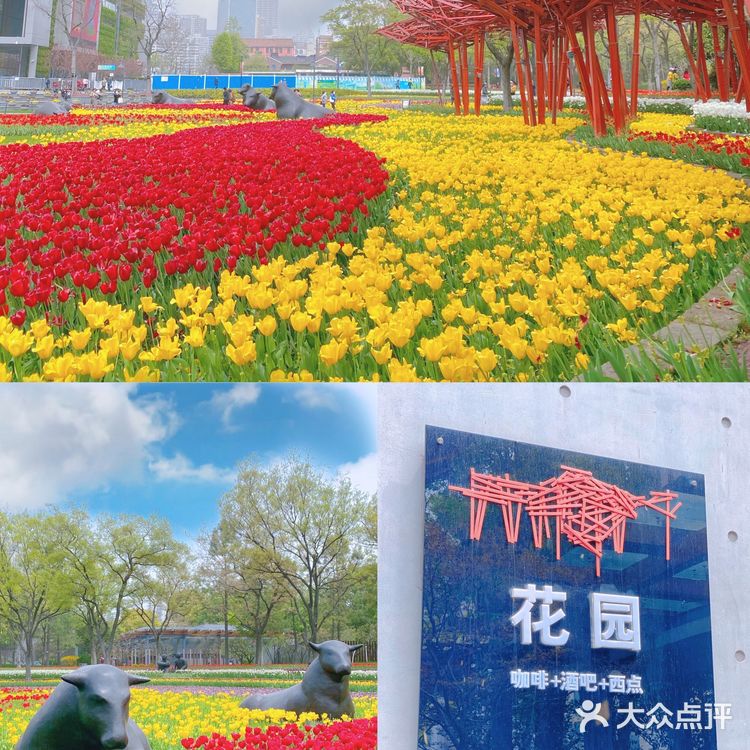 攻略 | 静安区0元不排队赏樱🌸保姆级指南建议收藏