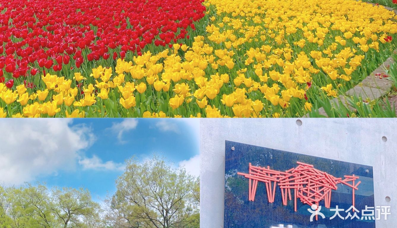 攻略 | 静安区0元不排队赏樱🌸保姆级指南建议收藏