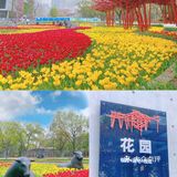 攻略 | 静安区0元不排队赏樱🌸保姆级指南建议收藏