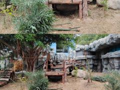 -泉州海丝野生动物世界