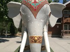 -永定河休闲森林公园