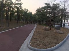 -苏颂公园