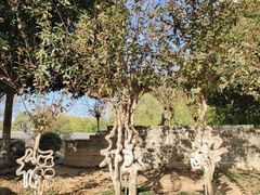 -武汉紫薇都市田园