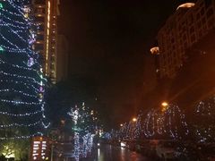 -上海浦东星河湾酒店