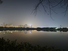-洋湖国家湿地公园