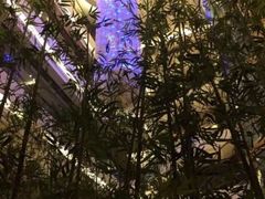 -武汉江城明珠豪生大酒店