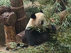 -杭州动物园