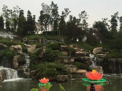 -秀丽东方
