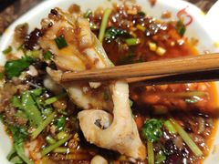 乌鱼-老哥门肥肠鱼(鱼嘴店)