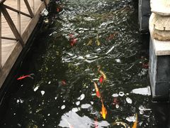 -民国红公馆·艺文空间(颐和路店)
