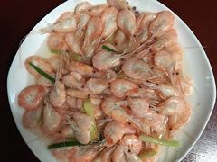 -爱贝尔高端月嫂(母婴护理)
