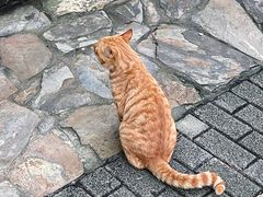 -宝岩生态观光园