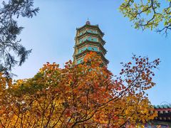 -香山公园