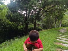 -石老人观光园