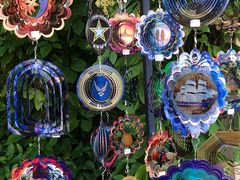 -奥兰多迪士尼动物王国乐园