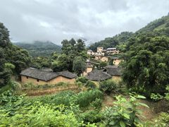 -杨家堂村