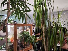 -一尺花园(安和花园店)