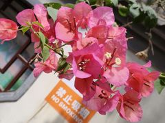 -万达广场(广阳店)