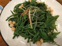 -巴依老爷新疆美食(望京小街店)