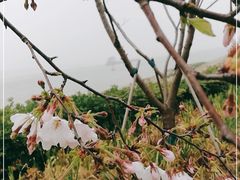 -幕燕滨江·长江观音景区