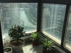 -新湖明珠城