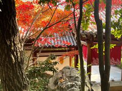 -唐风温泉