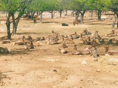 -西安秦岭野生动物园