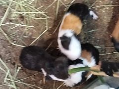 -正佳雨林生态植物园
