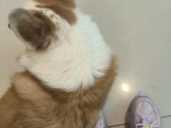 -平行世界·猫咖(首经贸店)