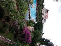 android_upload_pic-三亚亚龙湾凯莱仙人掌度假酒店