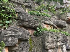-广州市白云山风景名胜区