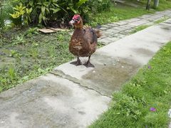 -洪湖家庭农场·团建·露营·会议
