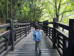 -白马涧龙池景区