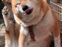 -萨莉亚意式餐厅(新洲家乐福店)