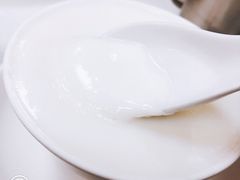 蛋白炖鲜牛奶-澳洲牛奶公司(佐敦店)