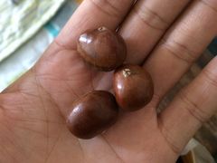 -邢记板栗(铜陵二店)