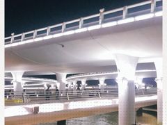 -演武大桥观景平台