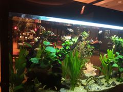 -海天楼中餐厅(吴宫泛太平洋酒店)