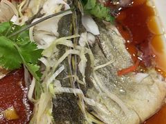 -双井轩(双井店)