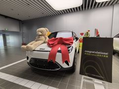 -上海浦东smart汽车全功能店(金桥店)