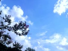 -宜兴龙背山森林公园