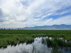 -野鸭湖国家湿地公园
