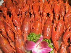 -红盔甲·小龙虾(天钥桥店)