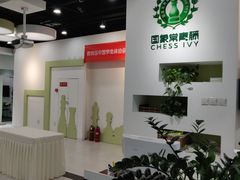 -常青藤国际象棋(新奥店)