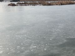 -前关湿地公园