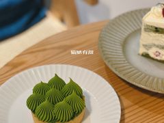 抹茶挞-猫里有甜